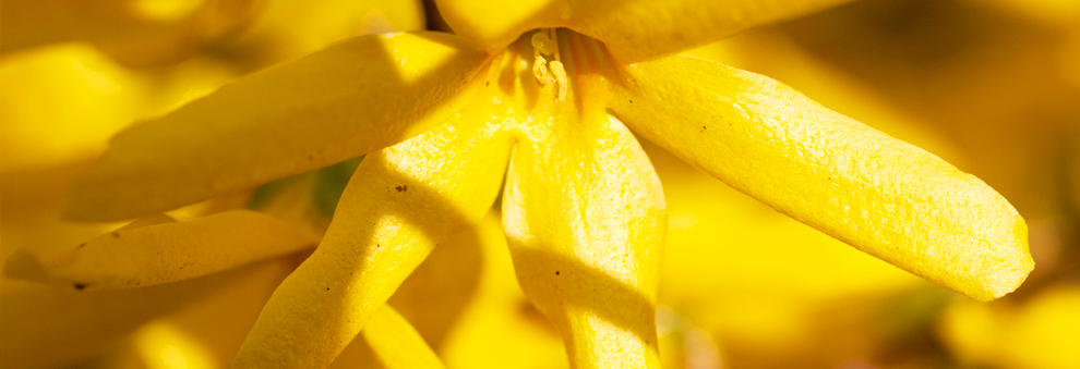 ddos压力测试网页端