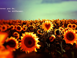 DDOS压力测试网页端